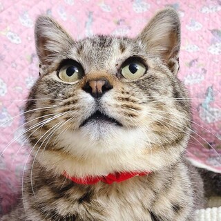 性格最高の超癒し系男子♡ゆずる