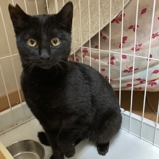 ご飯大好き②❤︎バクくん