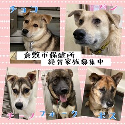 「2022年4月7日の倉敷→全頭譲渡決定！」サムネイル2