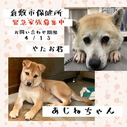 「2022年4月7日の倉敷→全頭譲渡決定！」サムネイル3