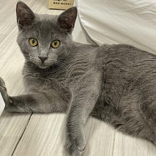 【5/15東銀座】おんぷくん6ヶ月♪