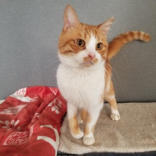 調整中のため、一旦ストップさせていただきます