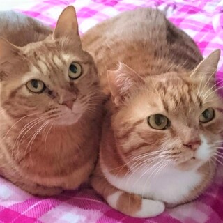 仲良しカップル★リズ&マルコ