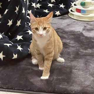 食いしん坊なラニくん！