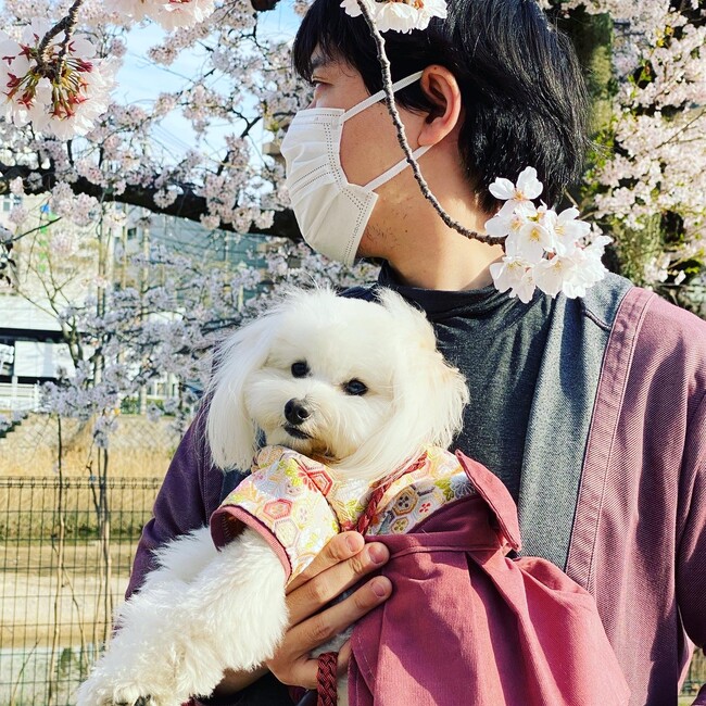 ohiichanのカバー写真