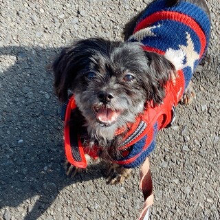 「あっちゃん」女の子