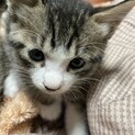 数多くの募集からありがとうございました。