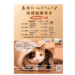 保護猫譲渡会in島忠ホームズ東村山店