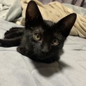 兄妹で素敵な家族が見つかりました☆ノッテ君
