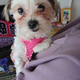 「ゆきみ」女の子