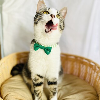 スリゴロベタ慣れの甘えんぼ男子!!