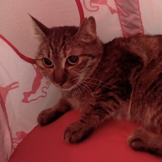 臆病ですが人には慣れています