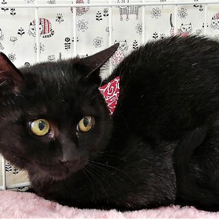 元気でやんちゃな、小次郎くん