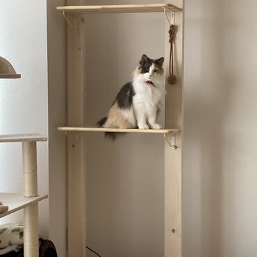 お父さんがDIYで作ったキャットタワー