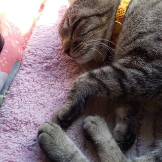 ありがとうございました★穏やかなイオちゃん