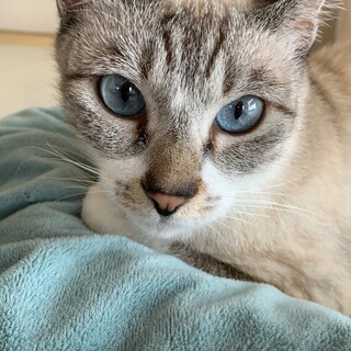 抱っこ大好きスリゴロさっちゃん