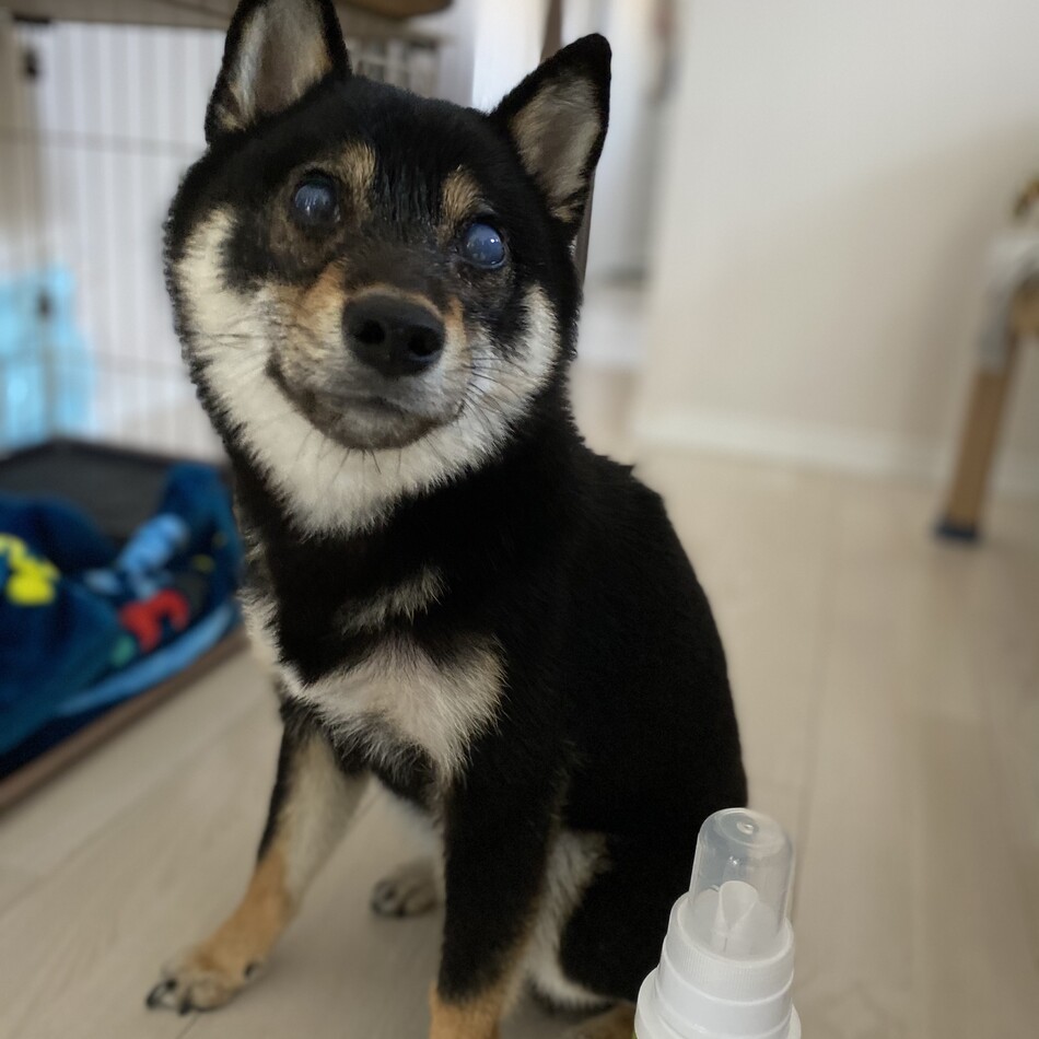 くるみのカバー写真