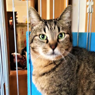 甘えた男子の　栄ちゃん♪