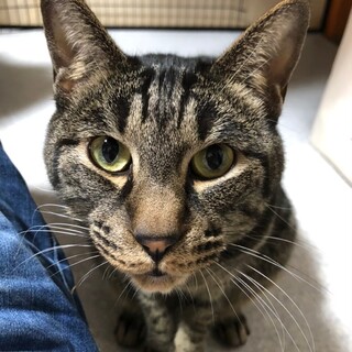 添い寝してくれます♡じゆうくん