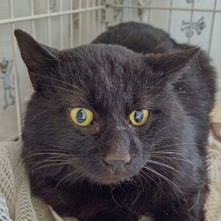 【保護2日目】ATフィールド全開！！