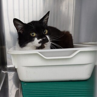 僕白血病でも頑張ったよ