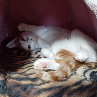 お膝大好き‼超甘えん坊です☆