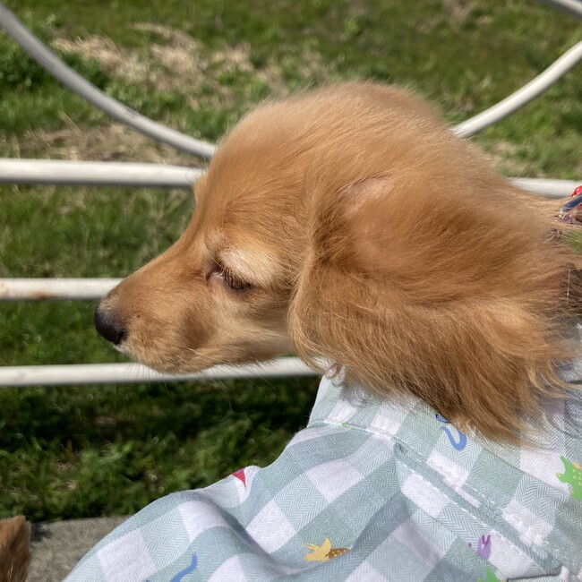 ルイハルままのカバー写真
