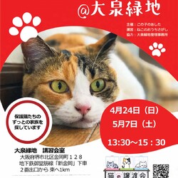 第10回☆ねこのおうちさがし@大泉緑地