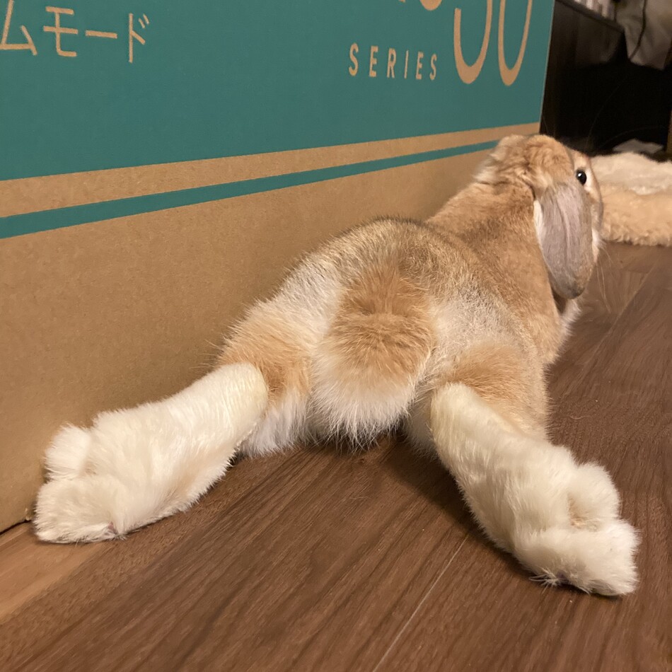 ルイのカバー写真