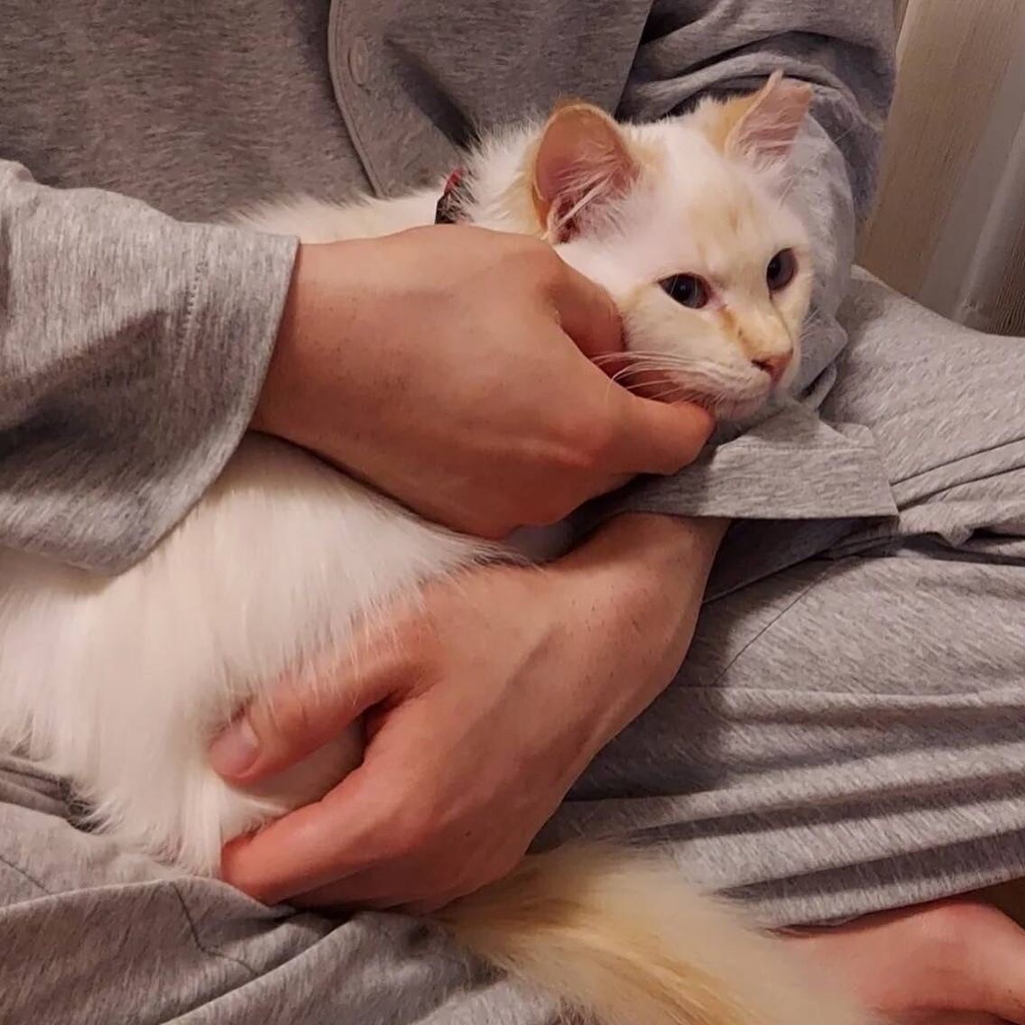 【お見合い歓迎】可愛い凛ちゃん♡ サムネイル3