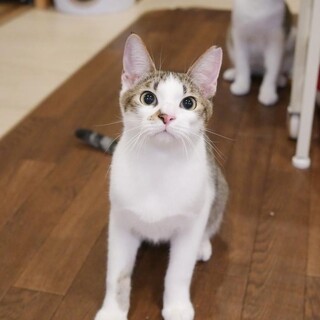 おっとり系男子ロイ君♂️