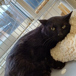 【保護3日目②】落ち着け私！