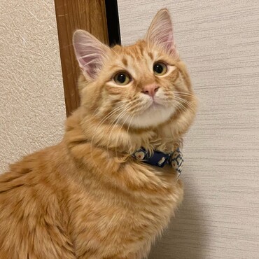 の写真