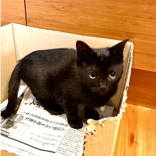 ずっとのおうち決定！すこーし天然なディルちゃん