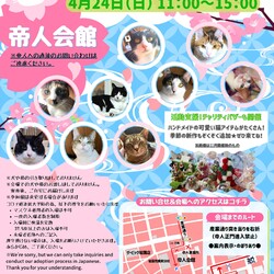 第１８回保護猫譲渡会in山口県　岩国