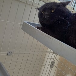 【保護4日目】誰じゃ…