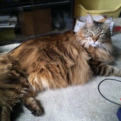 「くぅ～、病院帰りの一本は格別だぜぇ！」サムネイル2