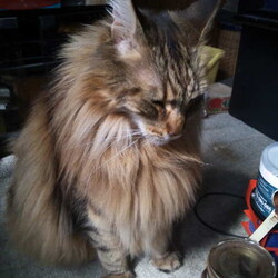 「くぅ～、病院帰りの一本は格別だぜぇ！」サムネイル3