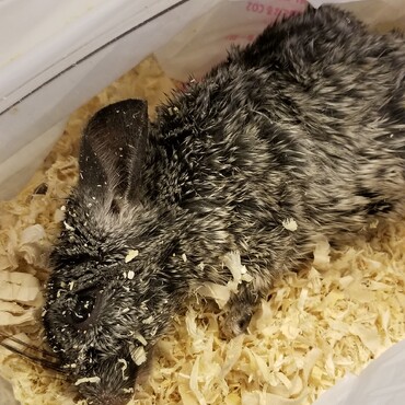 2022年4月14日永眠 たくさんの思い出ありがとう。