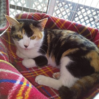 〝クルミちゃん〟です♪