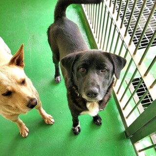 ありがとうございました！