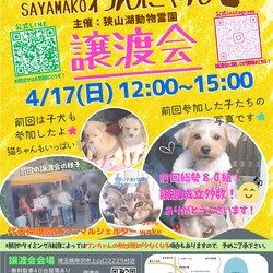 SAYAMAKO わんにゃん譲渡会