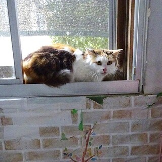 べったりまったりしたい方お薦めです