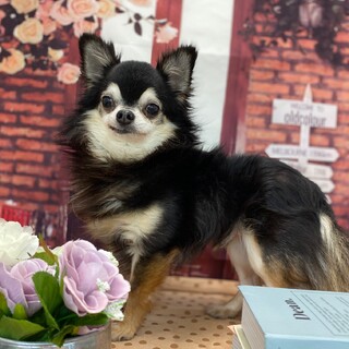 幸せみつかりました！