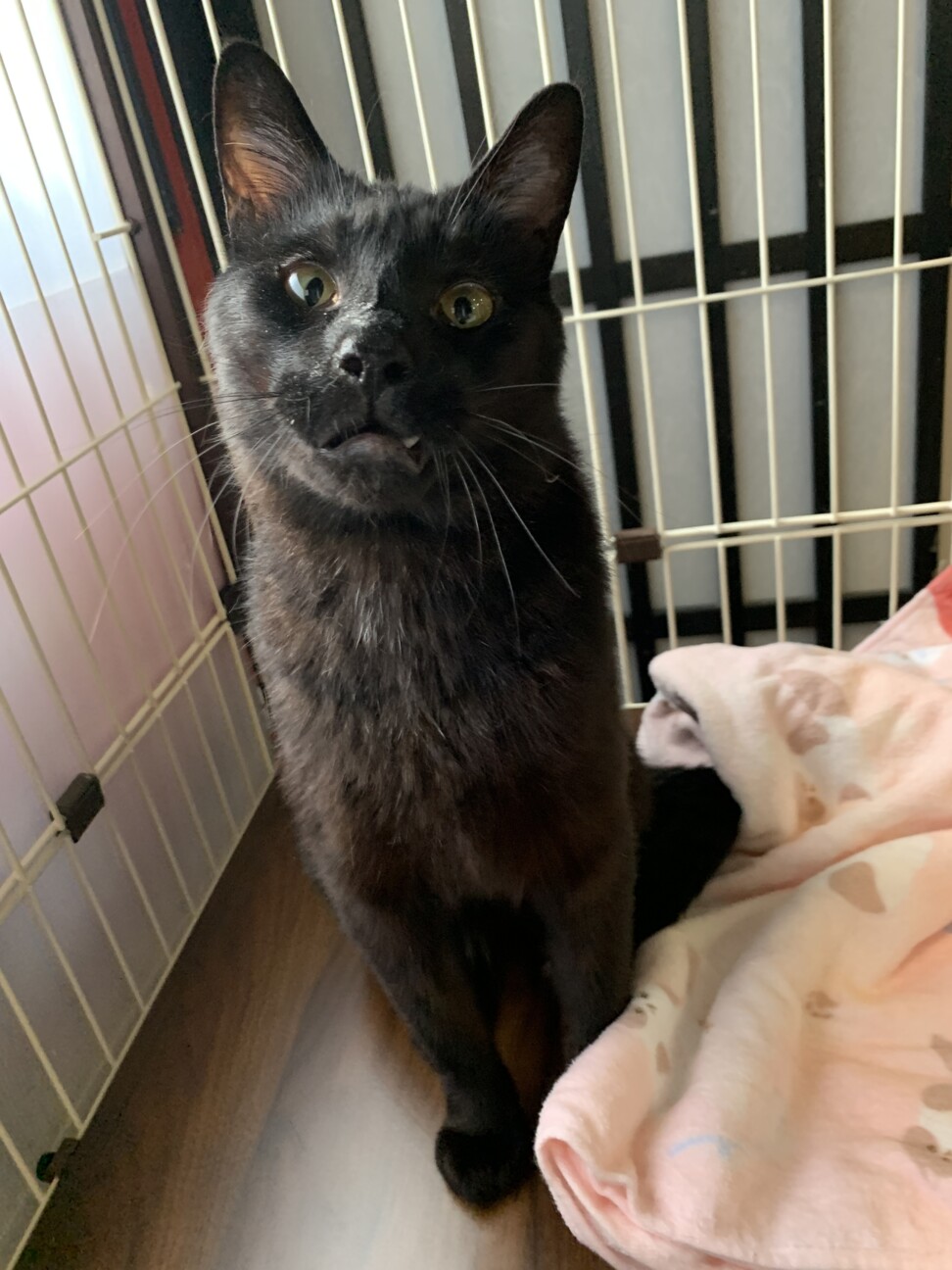 顎の骨折を乗り越えて☆あにき サムネイル2