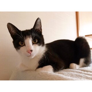 4/17西千葉ෆ⃛毎日遊んでほしいなෆ⃛しゃけくん