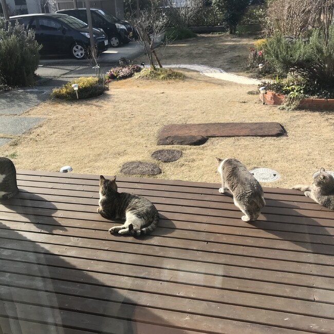 ゆみちゃんかあさんのカバー写真