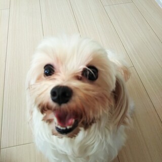 素敵なご縁を頂きました☺️