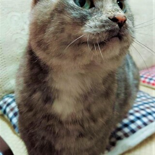 人が大好きなミューちゃん❣