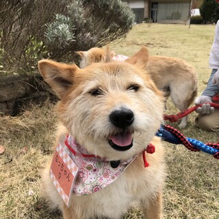 穏やかな性格の癒し系『なっちゃん』